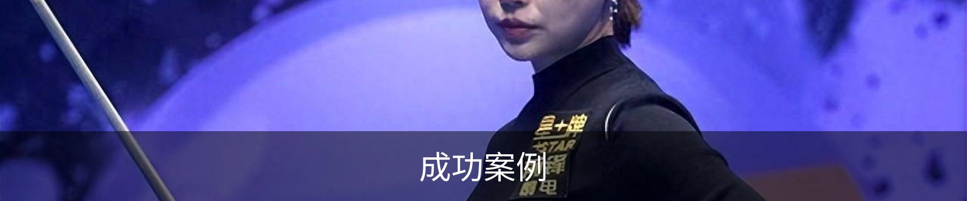 成功案例